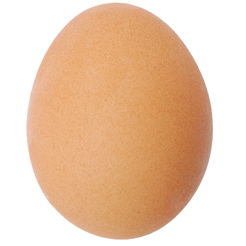 Holy Egg